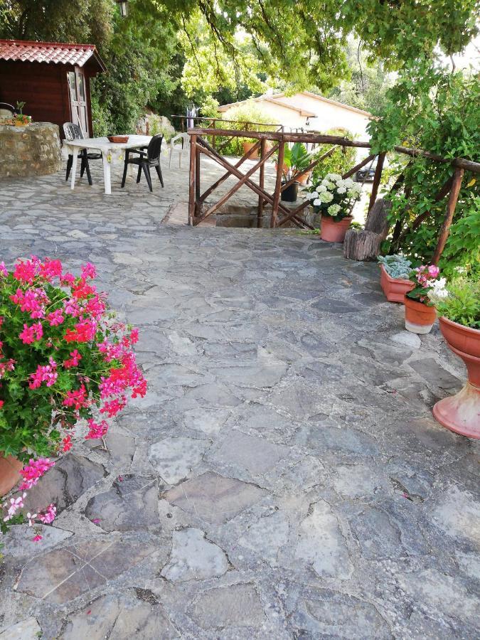 Villino Rosi Villa Monteverdi Marittimo Luaran gambar